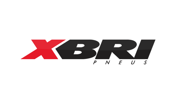 XBRI